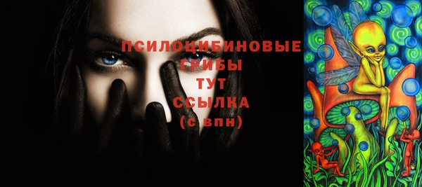 прущие грибы Орск