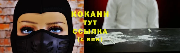 СК Михайловск