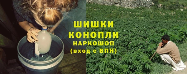 твердый Мегион