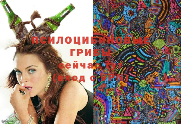 Альфа ПВП Михайлов