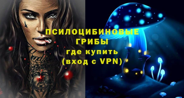СК Михайловск