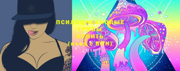 PSILOCYBIN Медногорск