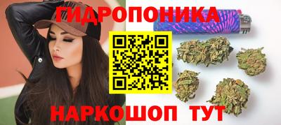 шишки Гусев