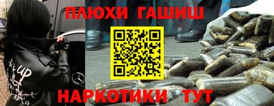 шишки Гусев
