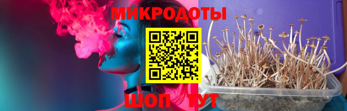 Галлюциногенные грибы прущие грибы Избербаш